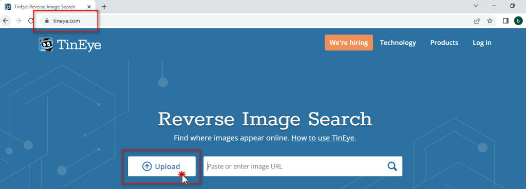 How To Do Reverse Image Search Using Tineye