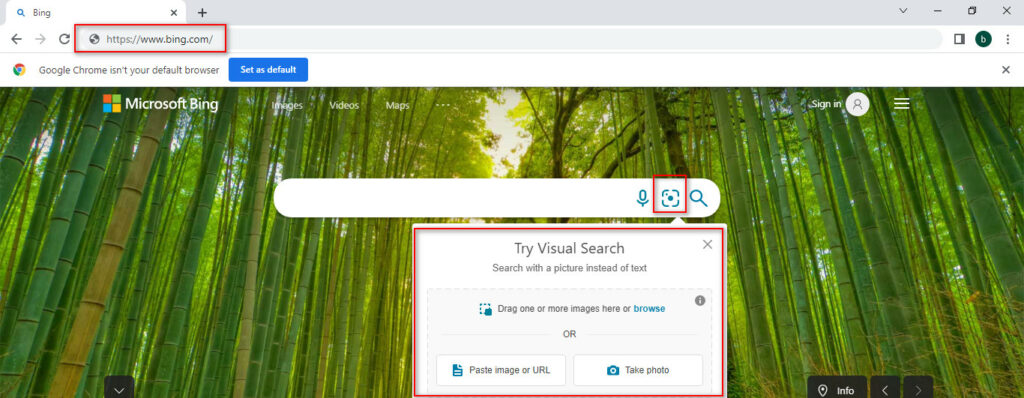 How To Do Reverse Image Search on Bing