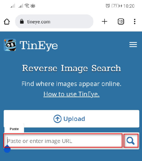 Tineye Reveres Image Search with the image URL on Android