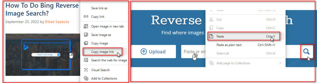 Tineye reverse image search with the image URL