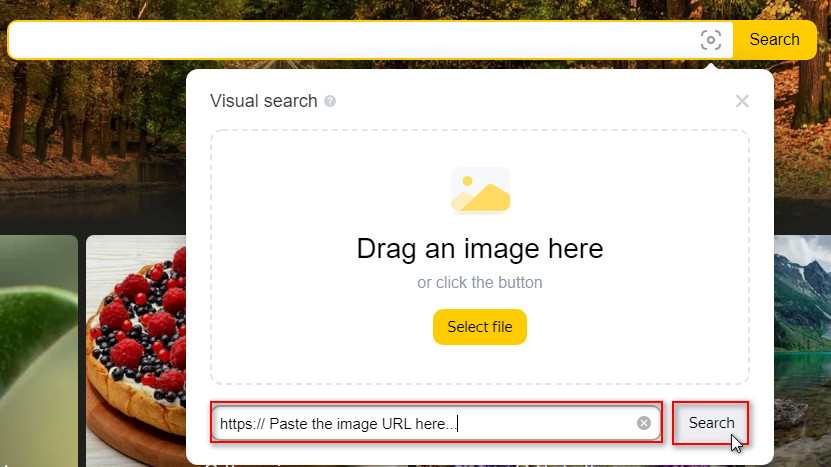 Yandex reverse image search with an image URL