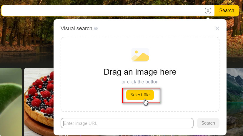 Yandex reverse image search with file from your PC