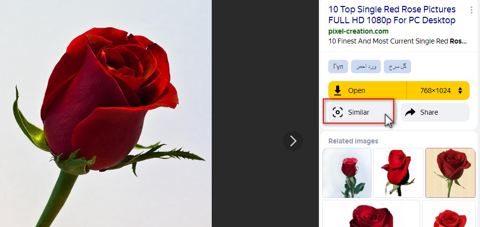 Yandex reverse image search with the image from the search result