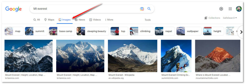 Go to the Image Results Section