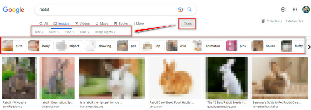 Google Image Search Engine