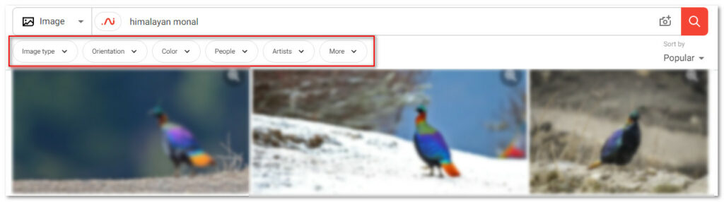 Shutterstock stock image search engine