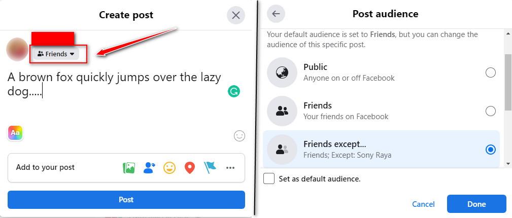 set audience while publishing new post