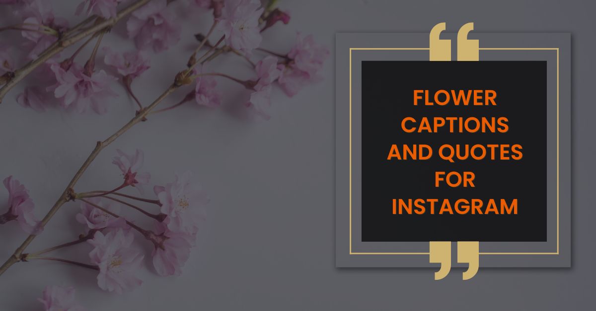 Flower Captions and Quotes for Instagram